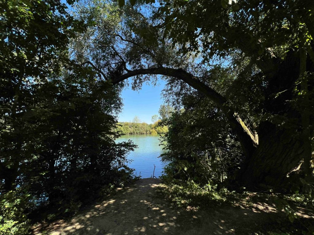 Pique-niques sur les bords de Marne