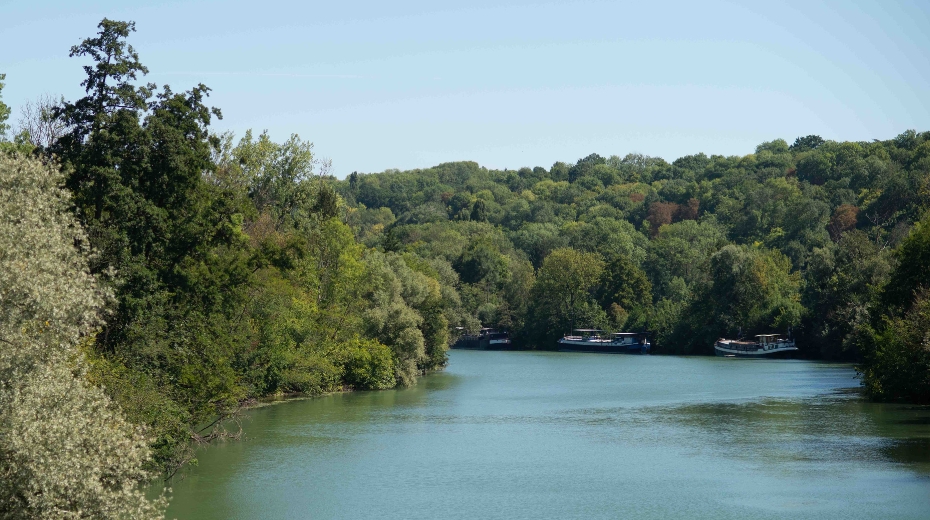 Vue sur la Marne - Hôtel La Coudraie