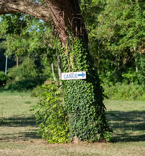 L’environnement et les activités